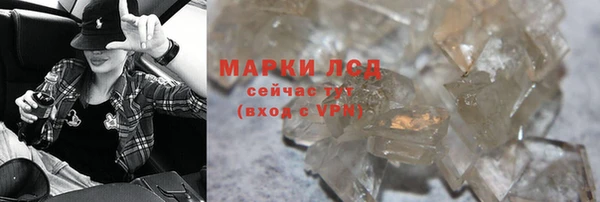 гидра Абаза