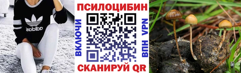 дарнет шоп  Питкяранта  Псилоцибиновые грибы Magic Shrooms 