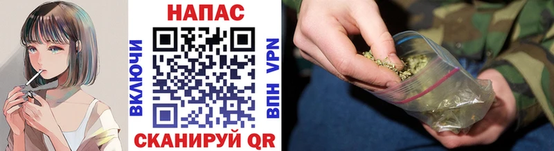 закладка  мега рабочий сайт  Шишки марихуана ГИДРОПОН  Питкяранта 